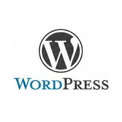 WordPress logo